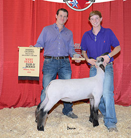 Neff Livestock Winners
