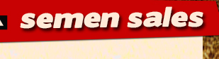 Semen Sales