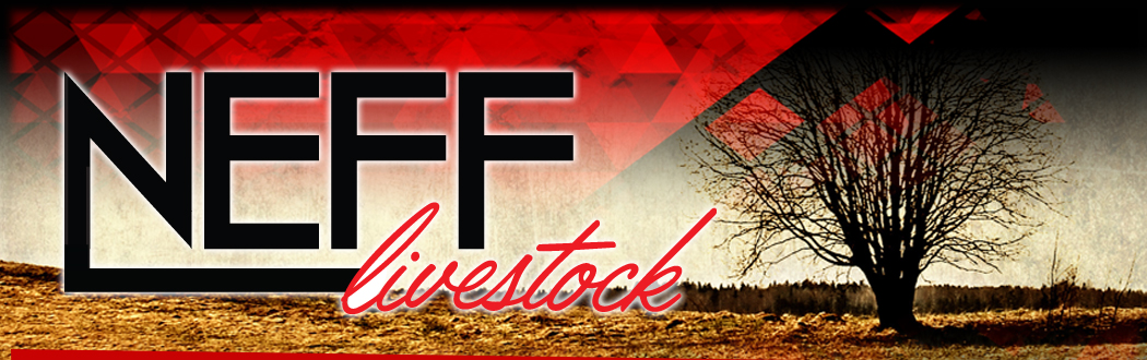 Neff Livestock