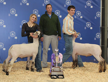 Neff Livestock