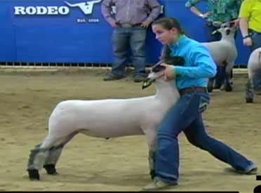 winner