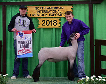 Neff Winners