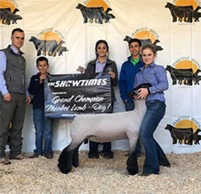 Neff Livestock Winners