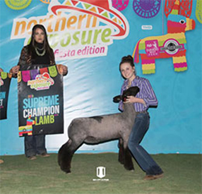 Neff Livestock Winners