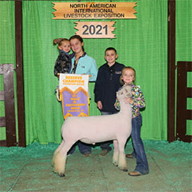 Neff Winners